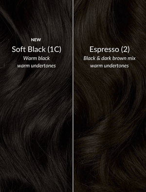 Espresso (2) Thinning Hair Fill-Ins