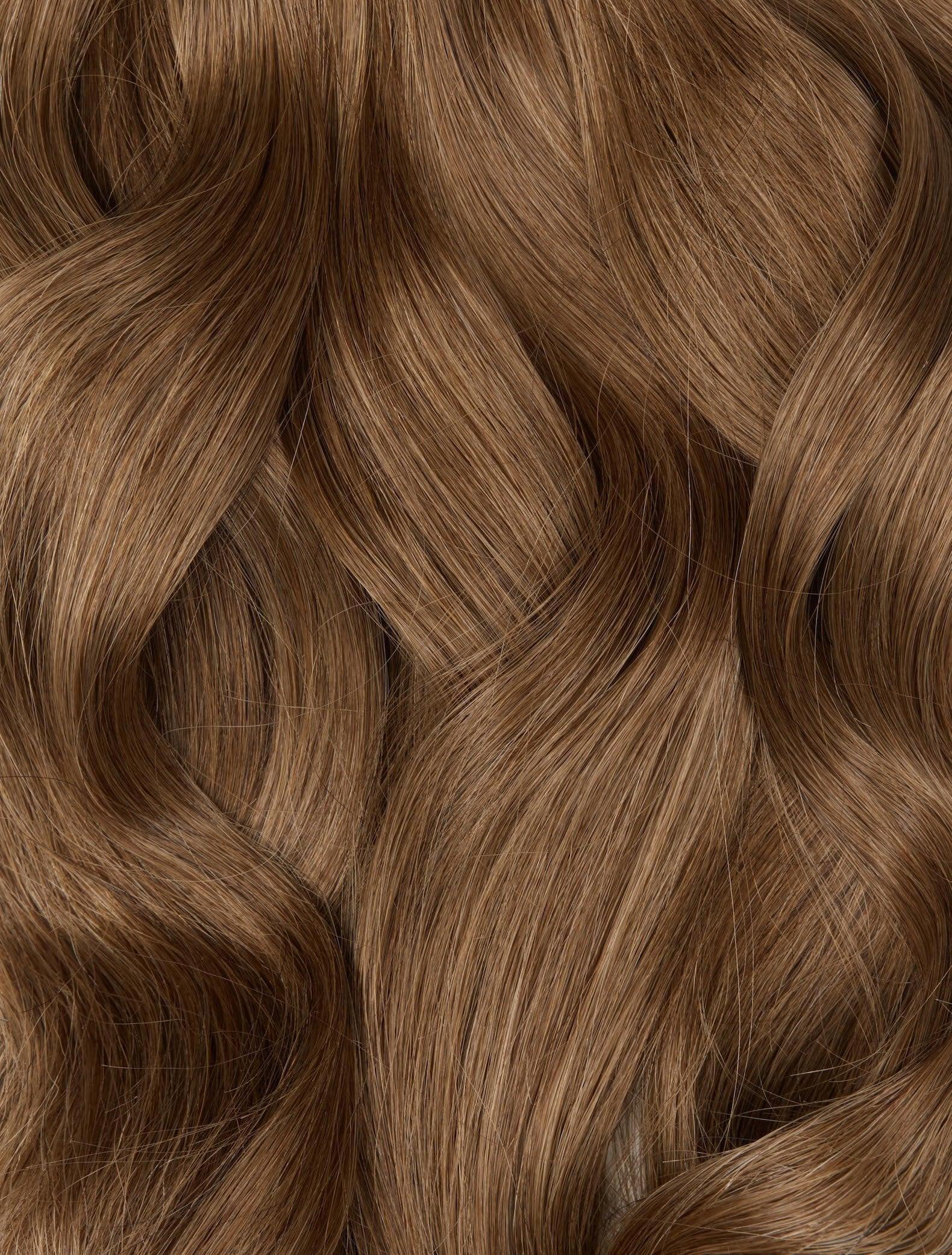 Chestnut Brown (6)