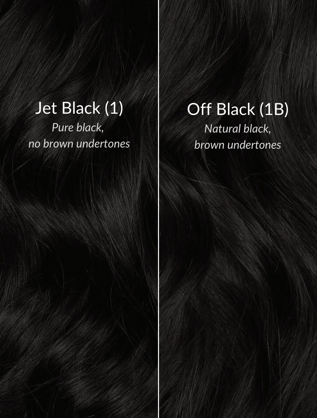 Off Black (1B) 24" 250g - Clip-Ins