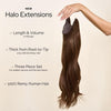 Ombre - Cool Brown To Dirty Blonde (T6/20) Halo - BOMBAY HAIR 