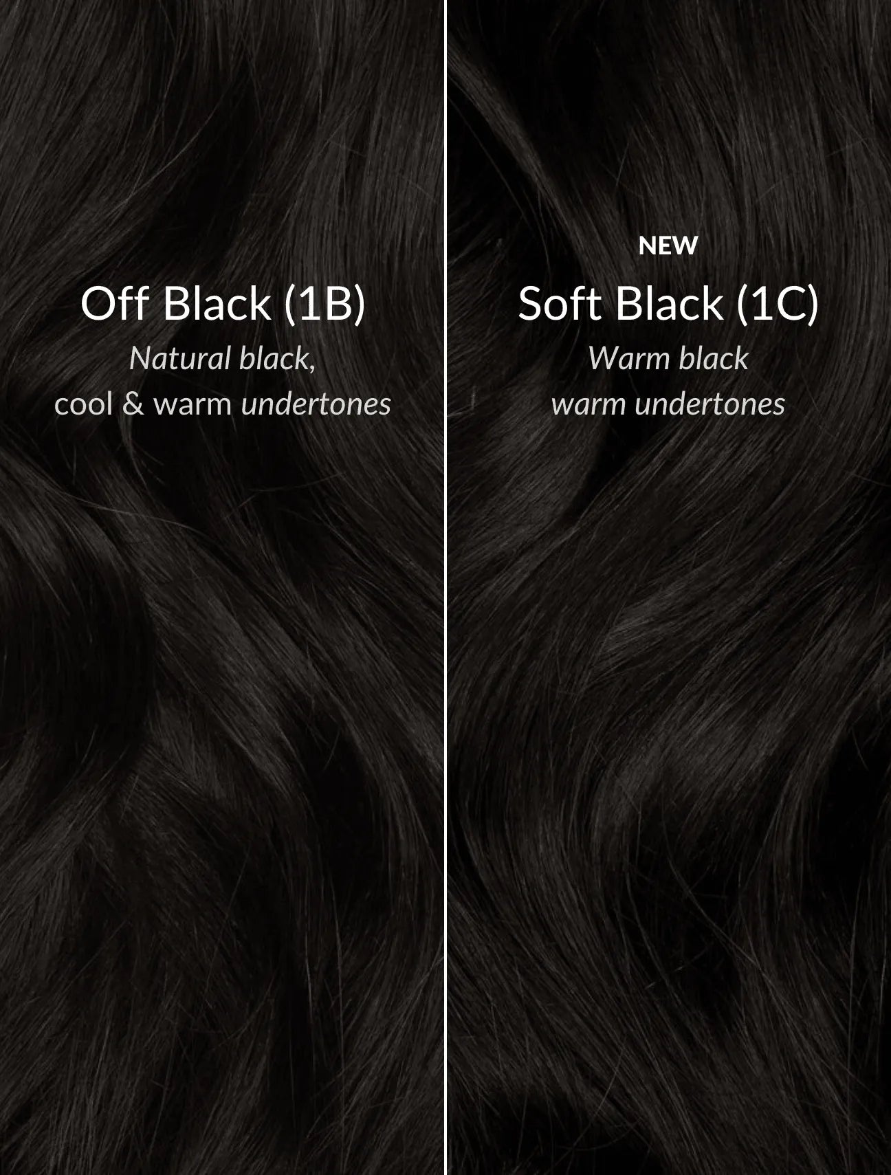 Soft Black (1C) Seamless Clip-Ins