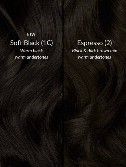 Espresso (2) Thinning Hair Fill-Ins