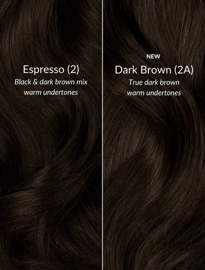 Espresso (2) Thinning Hair Fill-Ins