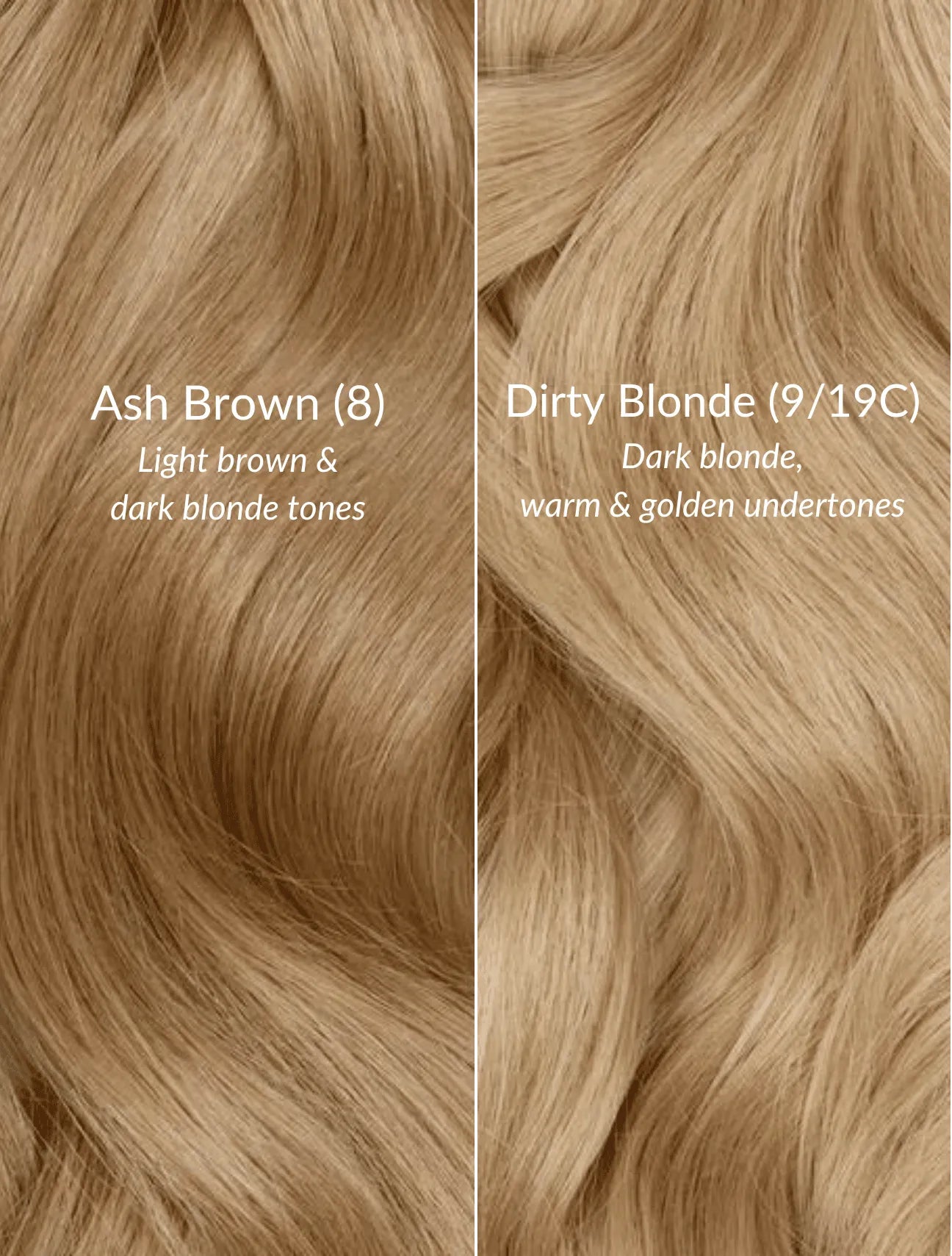 Ash Brown (8) 24" 250g - Clip-Ins