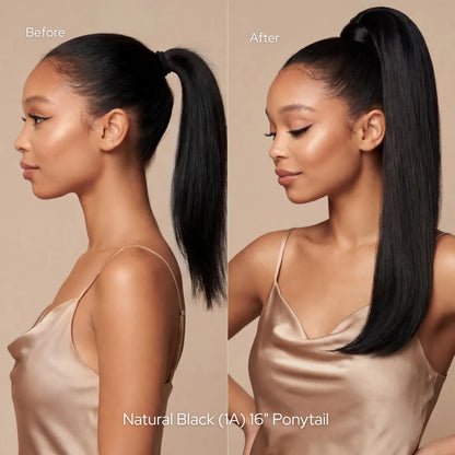 Ash Blonde (60) Ponytail