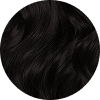 Hair Collection