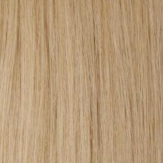 Dirty Blonde (9/19C) 24" 250g - Clip-Ins