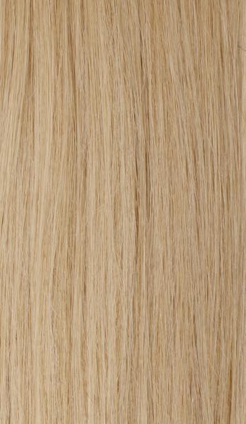 Dirty Blonde (9/19C) 22" 220g - Clip-Ins