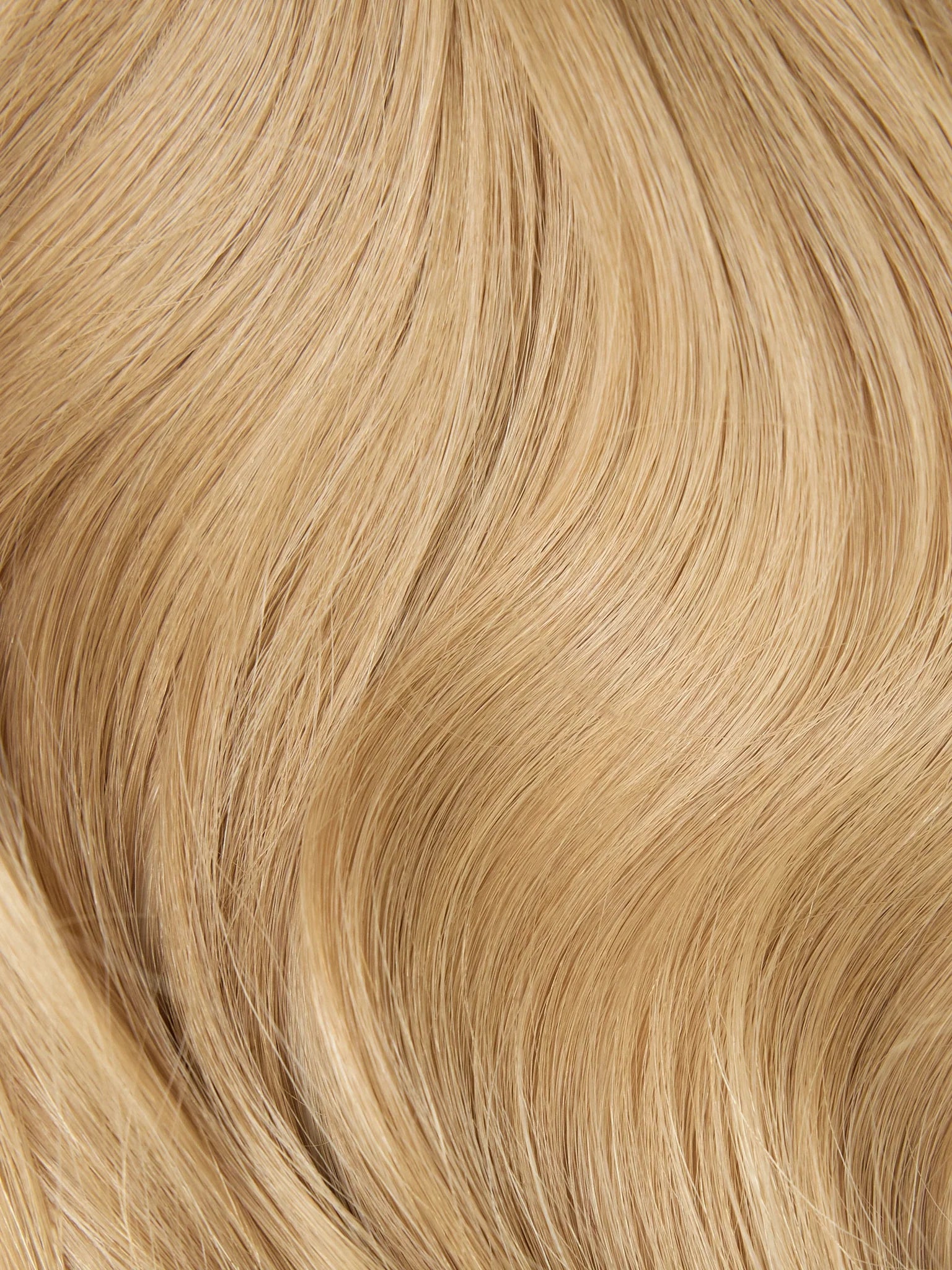 Highlight (Ash Brown 9 / Dirty Blonde 19C)