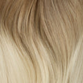 Ombre Ash Brown (10C) to White Blonde (60B)