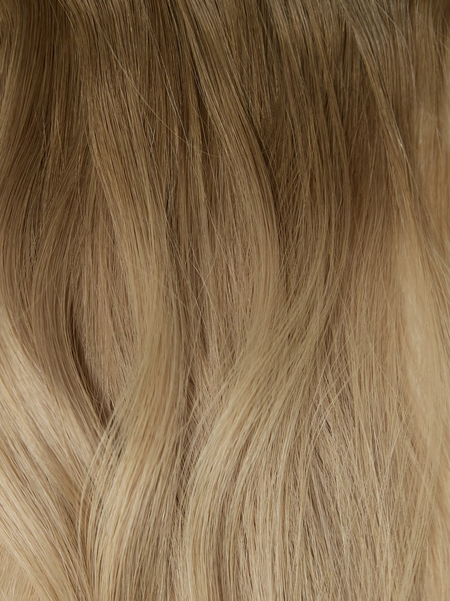 Ombre - Beige Blonde (T2/5A)