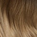 Ombre Dark Brown (2) to Ash Brown (9)