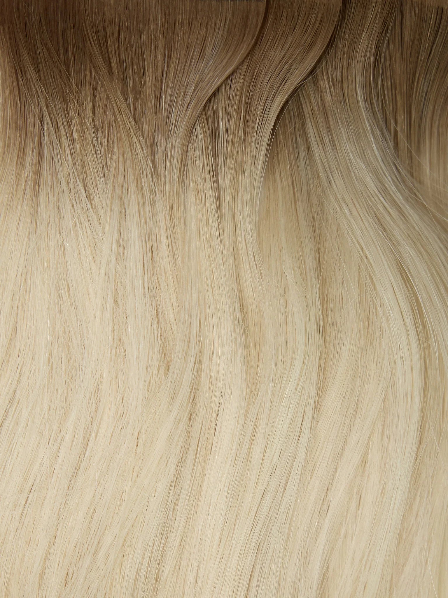 Rooted Cool Brown (10C) to White Blonde (60B)