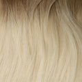Rooted Cool Brown (10C) to White Blonde (60B)