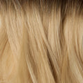 Rooted Dark Brown (2) to Dirty Blonde (19C)