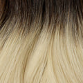 Rooted Espresso (1C) to White Blonde (60B)
