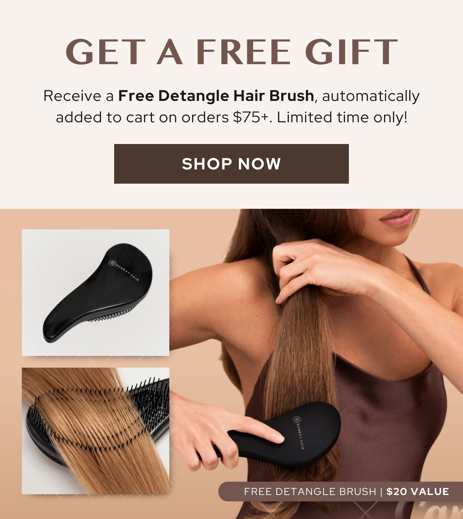 USA_-_Free_Brush_new