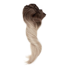 Balayage- Cool Brown (10C) to Grey (60G) 20