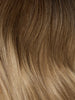 Ombre - Dark Brown (#2) to Ash Brown (#9) 20