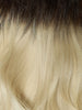 Rooted- Espresso (#1C) to White Blonde (#60B) 20