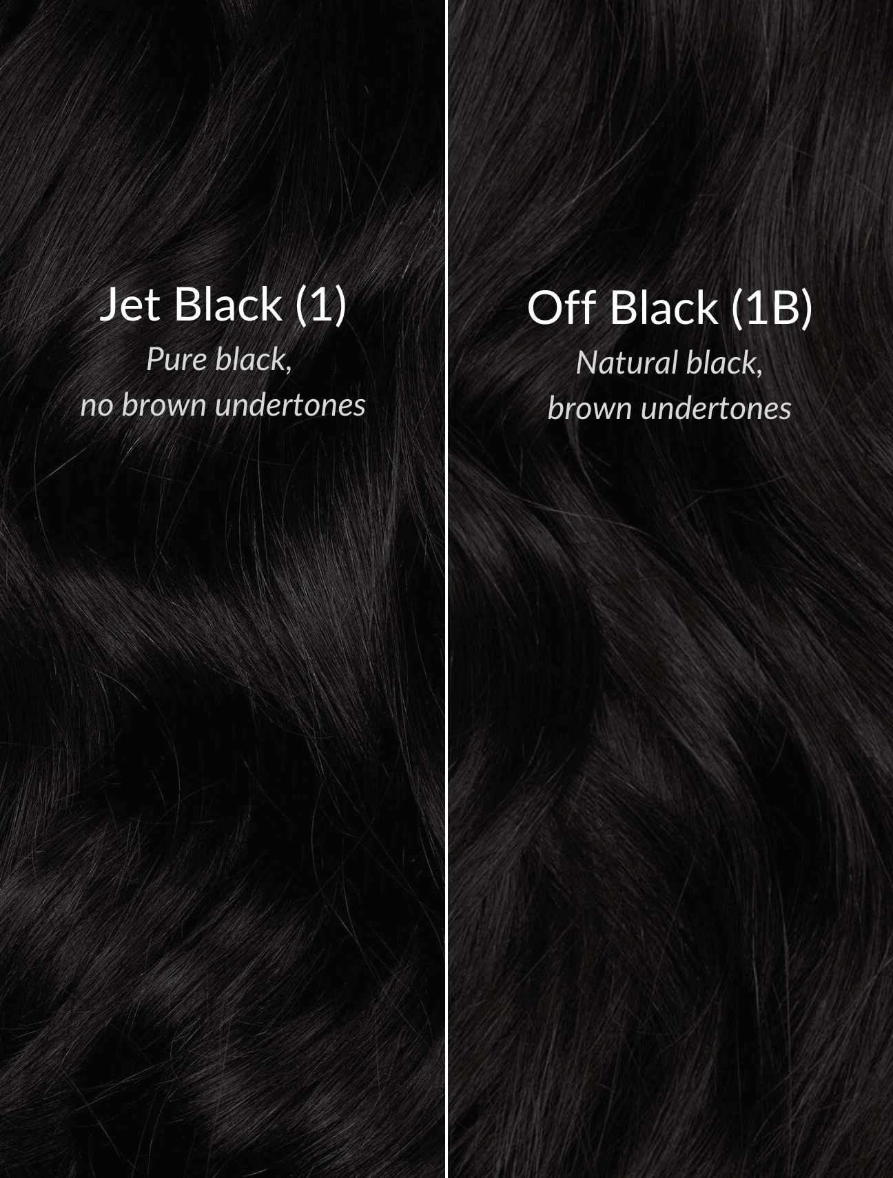Jet Black Sample Clip In Hair Extensions | Eden Hair Extensions –  edenhairextensions
