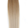 Ombre Ash Brown (#10C) to White Blonde (#60B) Tape (50g) - BOMBAY HAIR 